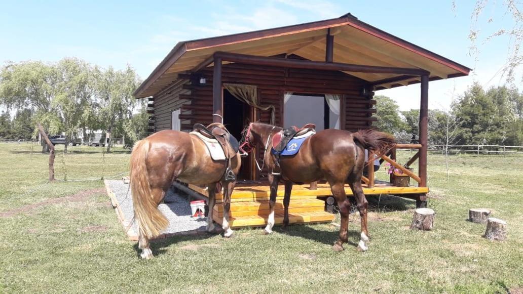 Cabana Rural El Encuentro San Antonio de Areco Eksteriør bilde