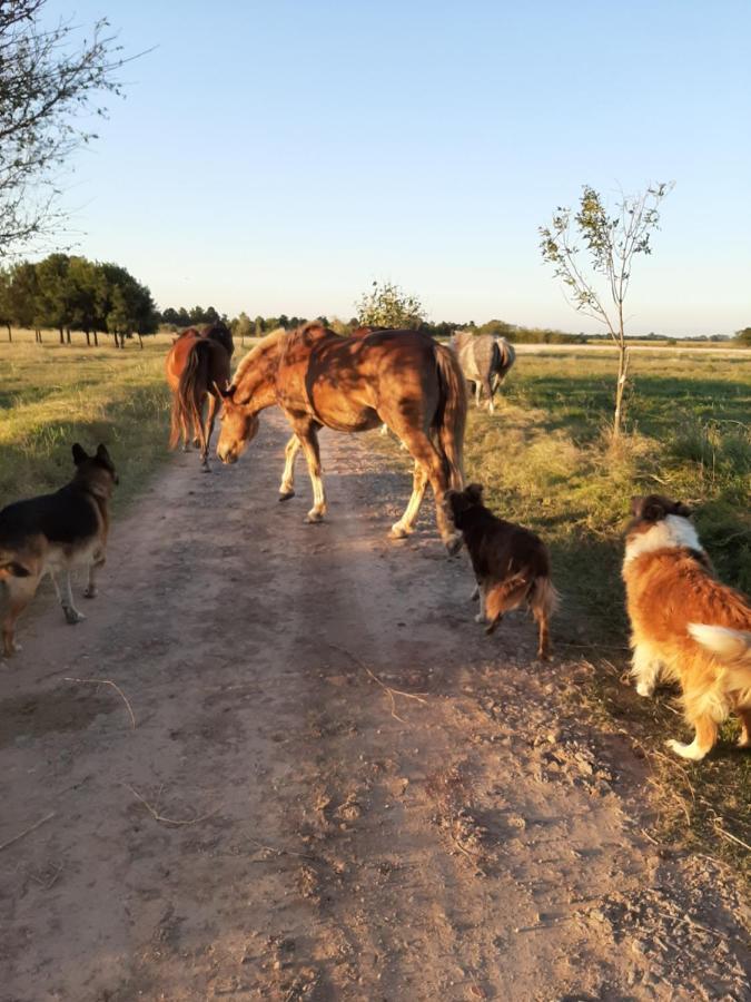 Cabana Rural El Encuentro San Antonio de Areco Eksteriør bilde